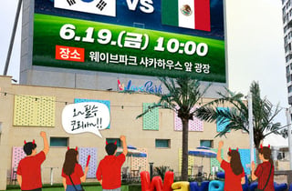 서핑 대신 "대~한민국!" 응원 파도타자…시흥시 거북섬 월드컵 응원전