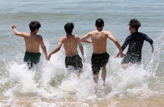 "파라솔이 얼마라고요?" 바가지에 '비명' 이제 끝…해수욕장이 달라진다