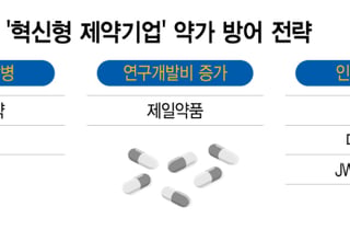 약가 인하 앞둔 제약사들 "혁신형 제약 인증" 사활…해법도 가지각색