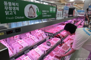 초복 한달 앞두고 닭·오리값 나란히 상승…보양식 물가 부담