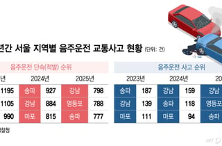 '사고다발' 강남권 음주운전 막는다…경찰, 대대적 단속