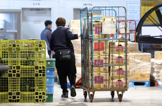 "쿠팡 대항마" 대형마트 새벽배송 허용 추진에도...못 웃는 이유
