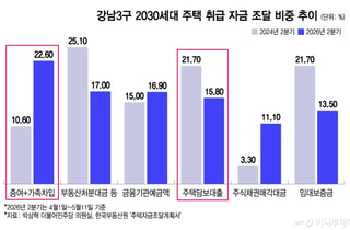 "은행 돈 왜 받아? '부모찬스' 쓰면 되지"…강남 집값 못 잡은 대출규제
