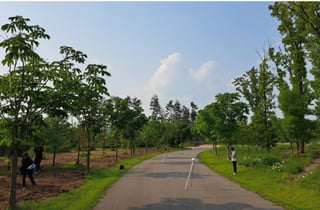 한국수목원정원관리원, 'LiDAR 활용 수목 탄소흡수량 측정기술' 개발