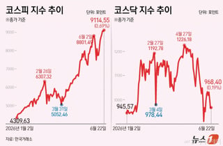 "300만원 거의 다 왔다" 대장주 꿰찬 하이닉스...삼전 밀어내고 시총 '1위'