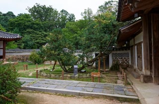 유네스코도 감동한 이곳…정조 효심 깃든 '융건릉' 이달 말까지 개방