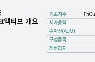[단독] "스페이스X 공모가로 당일편입"… 한투운용 사기혐의 내사