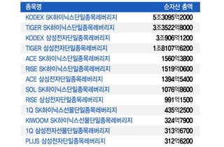 원금 녹으면 어쩌려고..."10조 더 넣어" 삼전닉스 2배 '아찔 베팅'