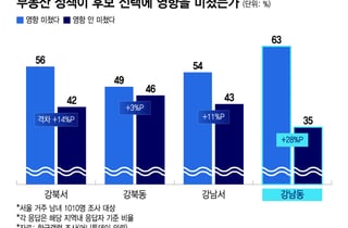 "능력 중요하지만 집값은 못참아"...승부 가른 강남3구 '부동산 민심'