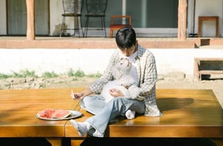 이제 다시 '임영웅의 시간... '2026년의 히어로'는 어떨까