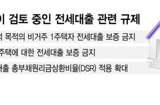 "대한민국에만 있는 사금융"…집값 올린 '전세대출' 대수술