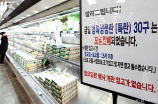 "한판에 얼마?" 입고 즉시 매진…계란값 뛰자 수입란 동났다