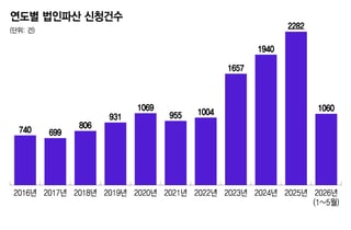 10년새 3배 법인파산…내수 부진에 재무 취약 중소기업 파산 '도미노'