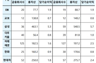 삼성·현대차 금융그룹 자본여력 '탄탄'…규제비율 웃돌아