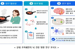 "조리 중 발생하는 미세먼지, 인지기능 저하시킬 수도"
