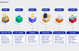 대한항공 스카이패스, '국가서비스대상' 4년 연속 수상