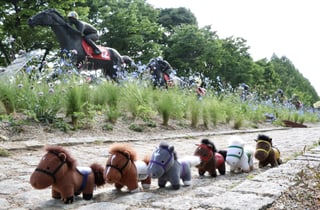 렛츠런파크 부산경남 이색 '말마 페스티벌' 선보인다