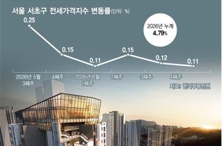 서초 5000가구 신축 입주에도 "전세 없어요"…사라진 입주장 효과, 왜?