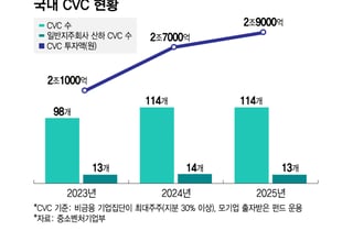 국내 VC 4곳 중 1곳은 CVC…114곳이 2.9조 투자