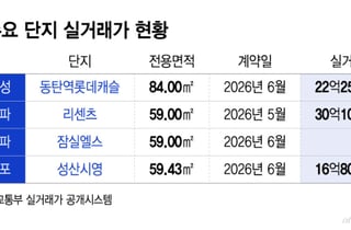 잠실로 튄 동탄 불씨…전용 59㎡도 30억 시대