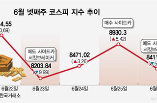 "외인·기관 20조 매도 폭탄에 개미 죽겠네"…널뛰는 코스피, 대피처는?