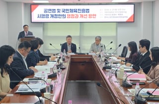 '암표 금지법' 시행 초읽기…전문가들 "2차 티켓 시장, 부작용 아닌 인프라"