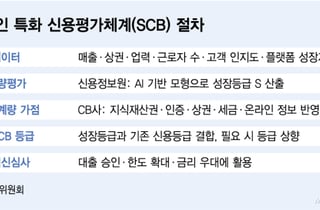 소상공인 대출, 담보 대신 '장사 실력' 본다…연간 10.5조 공급 기대