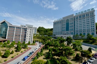 백석문화대 간호학과, 간호교육인증평가서 '5년 인증' 획득