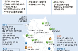 [사설]메가특구엔 메가특혜 입법 필수다