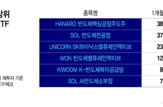 "삼전닉스 말고 이거 살걸"…'38.6% 폭발' 형보다 아우가 잘 나갔다