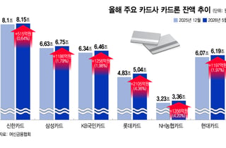 "연말까지 맞추면 되니까 대출 더"…당국 경고도 뭉개는 2금융권