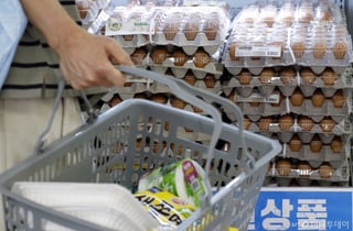 최고가격제로 물가 0.4%p↓…정부 "하반기 물가상승률 3% 이내로"