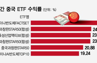 中 반도체 ETF 한 달 새 30%대 급등…나머지 업종은 부진