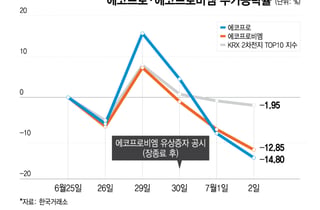 코스닥 안 좋은 이때 1.2조 유증을…에코프로 형제 연저점, 개미 '부글'