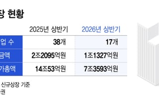 IPO시장 칼바람… 상장기업 수·공모금액 절반 싹둑