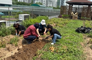 중랑경찰서 직원들이 키운 감자 90㎏, 지역 어르신에 기부