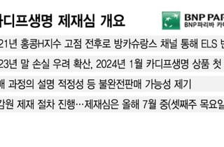 카디프생명 ELS 제재 이달 결론…매각 급물살에 한투지주 '눈독'