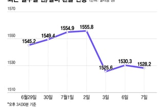 달러 뭉칫돈 들어온다…SK하이닉스 ADR 43조원, 환율 소방수 될까