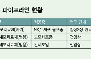 바이젠셀, 림프종 치료제 상업화 속도…"글로벌 시장 관심 확인"