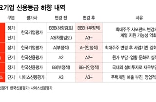 홈플러스發 경계심 속…사모펀드 인수기업 신용등급 줄강등