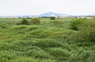 "반도체 산단 배후, 선수 쳐서 산다"… 투기수요 미리 차단