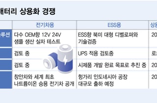 'LFP 교훈' 새긴 K배터리…소듐이온' 양산 시계 가속