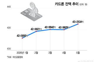 "강제청산 될라" 빚투 부메랑, 카드빚으로 막았다…도박판 증시 민낯