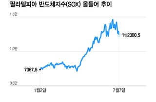 반도체주, 숨고르기 vs 추세 하락의 시작…어닝시즌이 답한다[오미주]