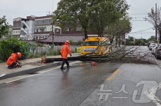 중부지방 폭우에 도로 침수…논산·계룡 호우주의보
