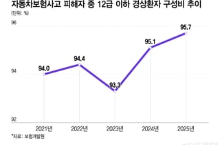 장마철 車보험 손해율 '빨간불'… '8주룰' 표류에 손보사 깜깜