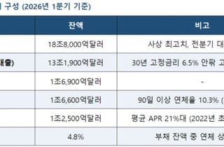 빚더미 미국, 트럼프 대통령의 해결책은?