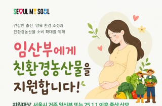서울시, 임산부 2만9000명에 친환경농산물 연 24만원 지원