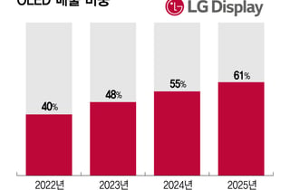 메모리 가격 뛰자… LGD 'OLED' 뜬다