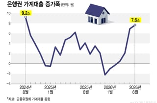 "빚 내서 집 사자" 안 잡히는 가계대출...주담대 6억→3억, 다시 '빗장'